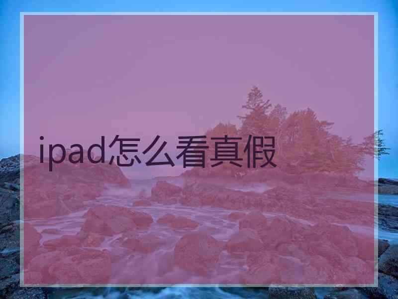 ipad怎么看真假
