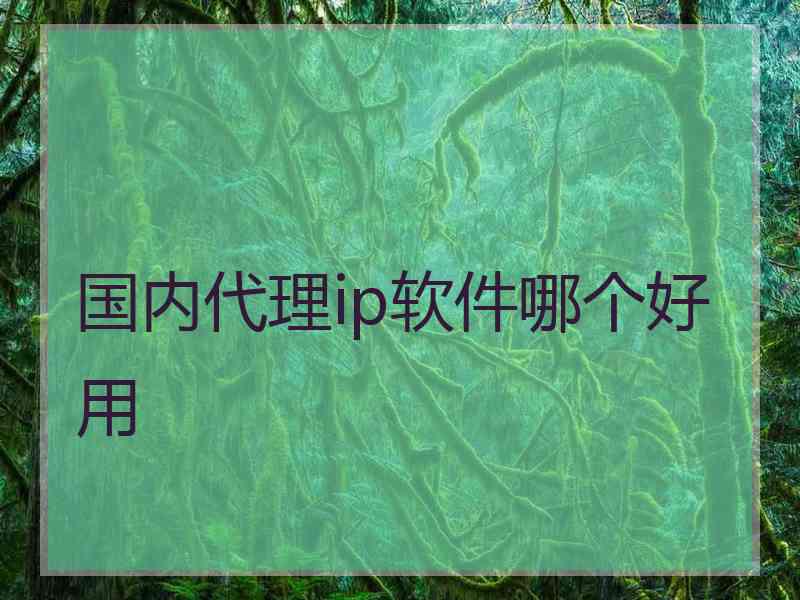 国内代理ip软件哪个好用