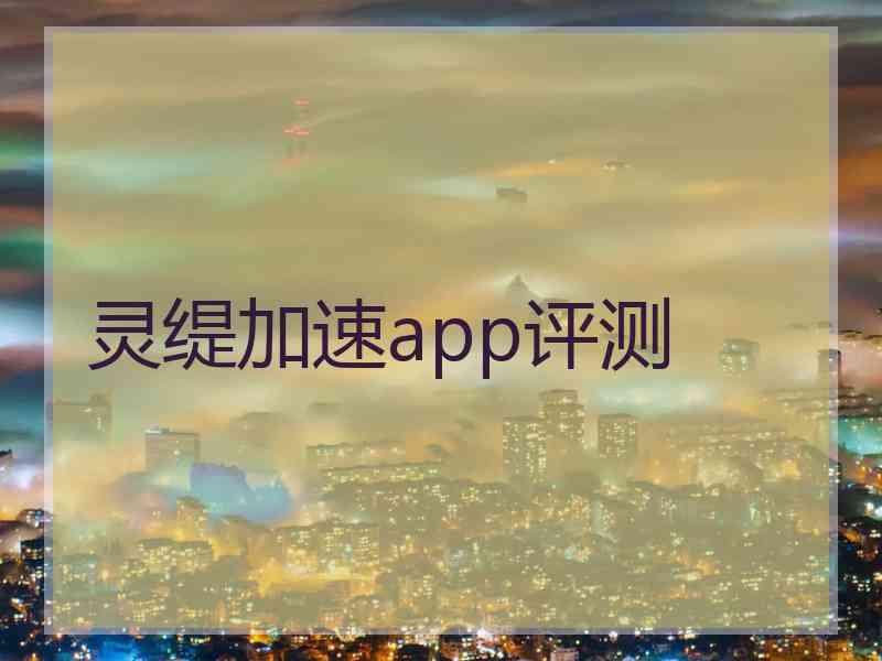 灵缇加速app评测