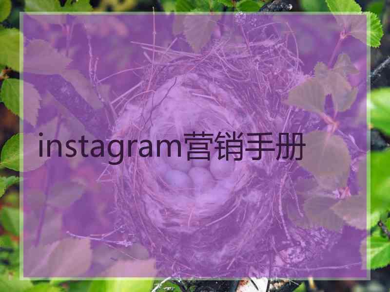 instagram营销手册