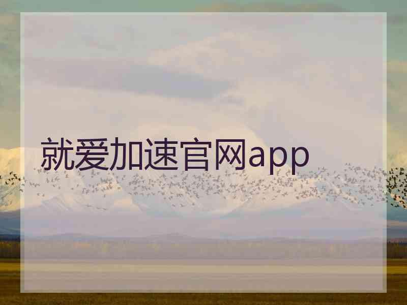 就爱加速官网app