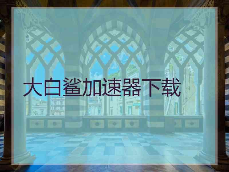 大白鲨加速器下载