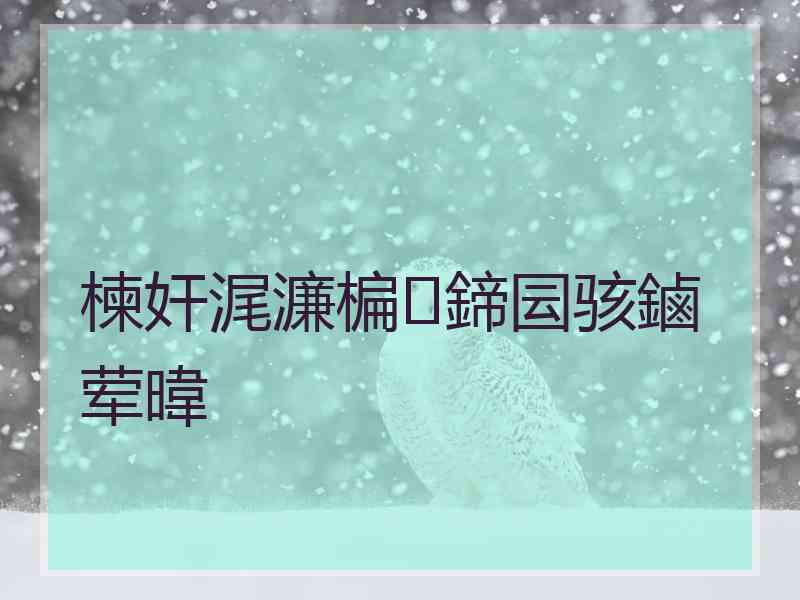 楝奸浘濂楄鍗囩骇鏀荤暐