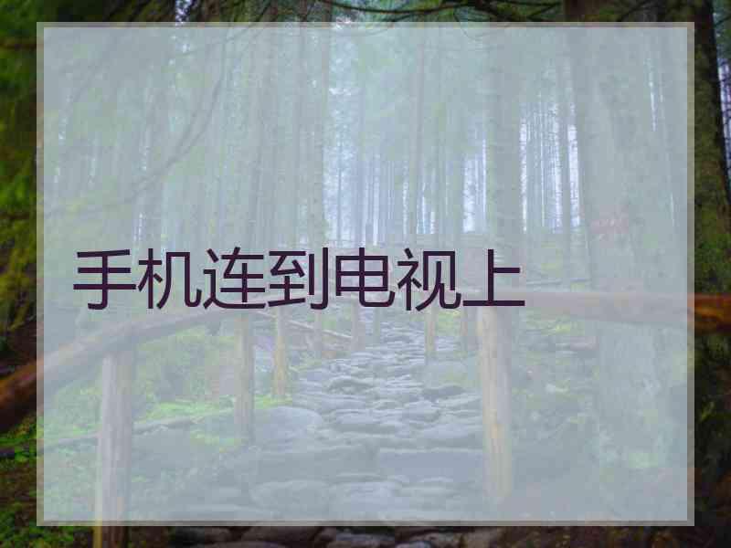 手机连到电视上