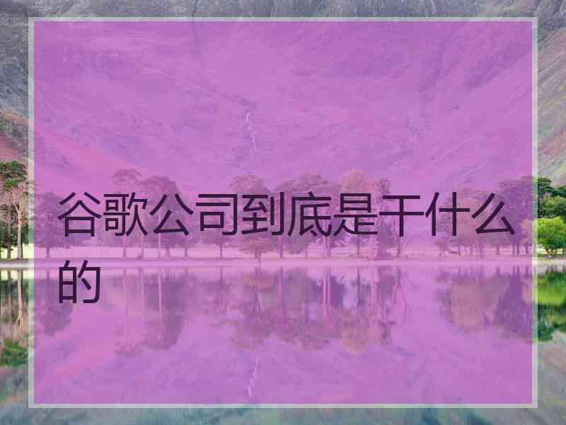 谷歌公司到底是干什么的