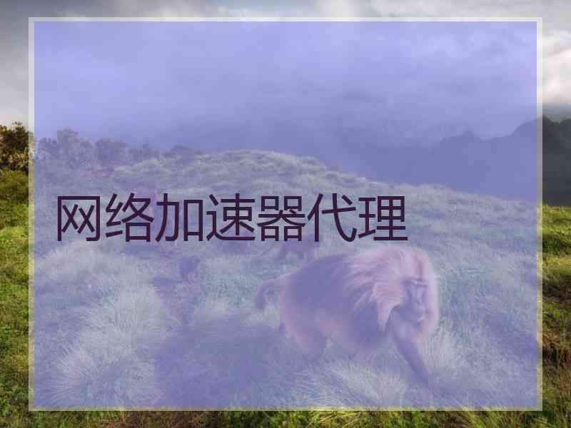 网络加速器代理