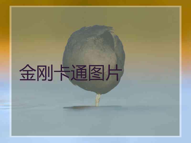 金刚卡通图片