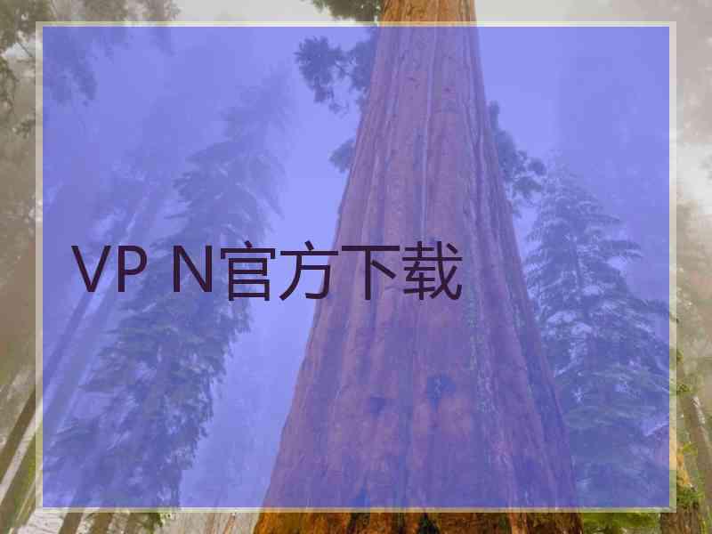 VP N官方下载