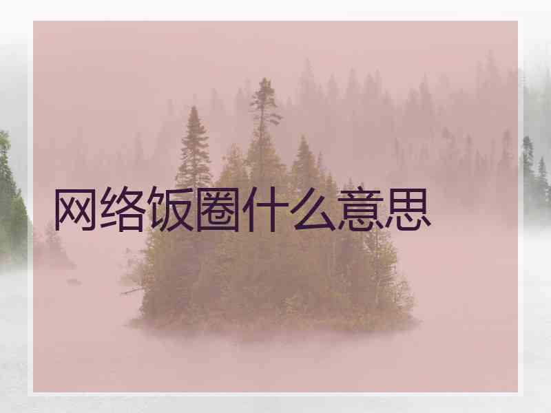 网络饭圈什么意思