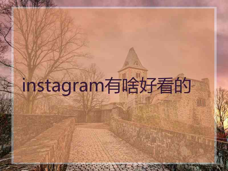 instagram有啥好看的