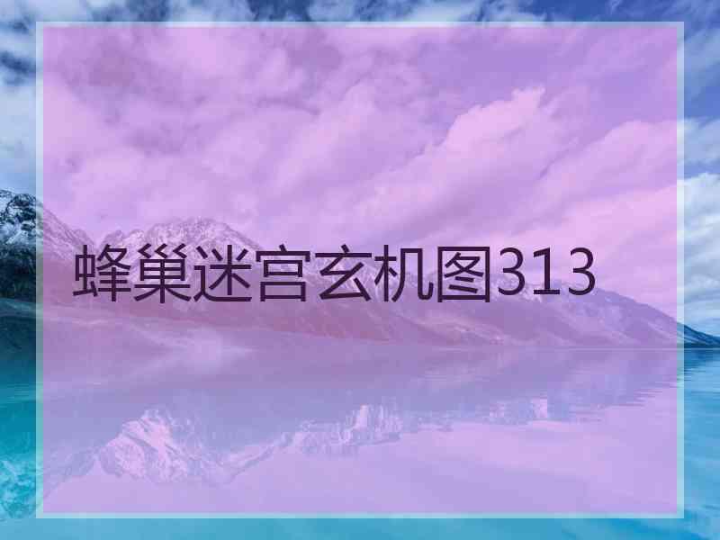 蜂巢迷宫玄机图313