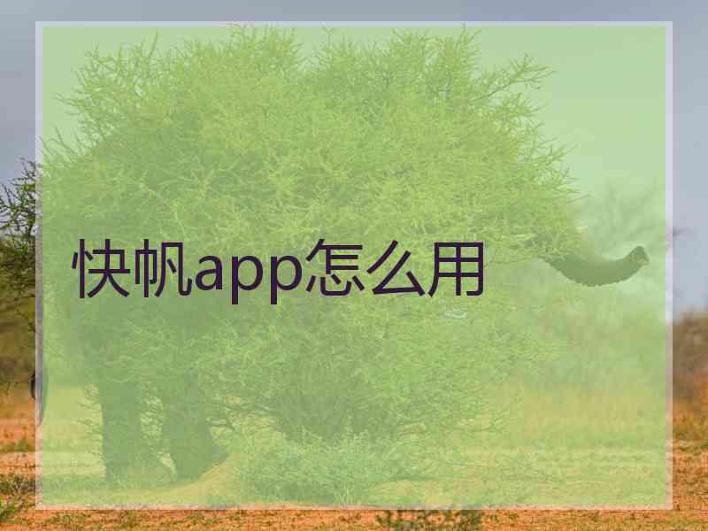 快帆app怎么用