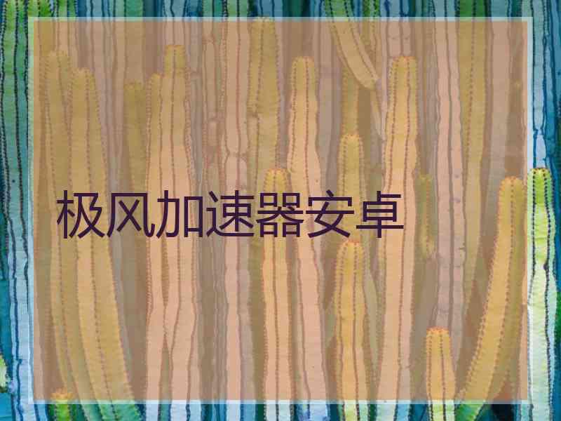 极风加速器安卓