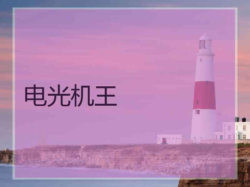 电光机王