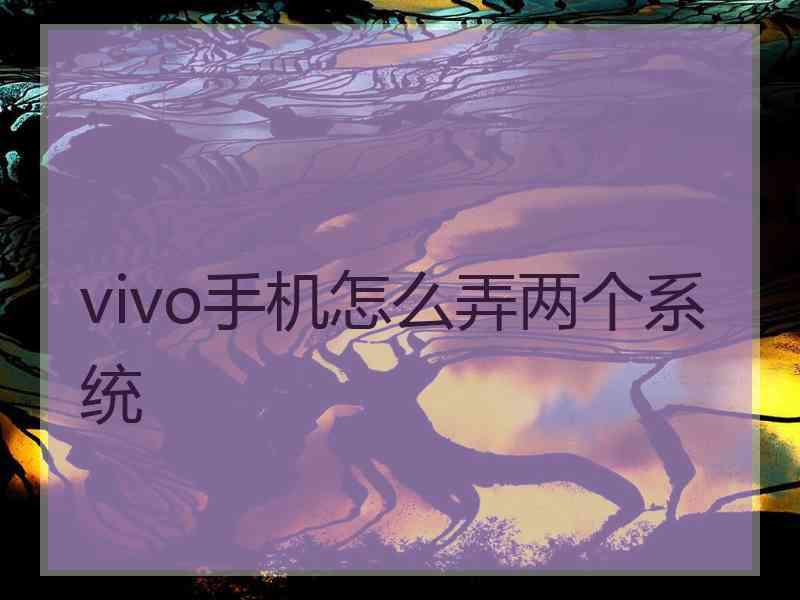 vivo手机怎么弄两个系统