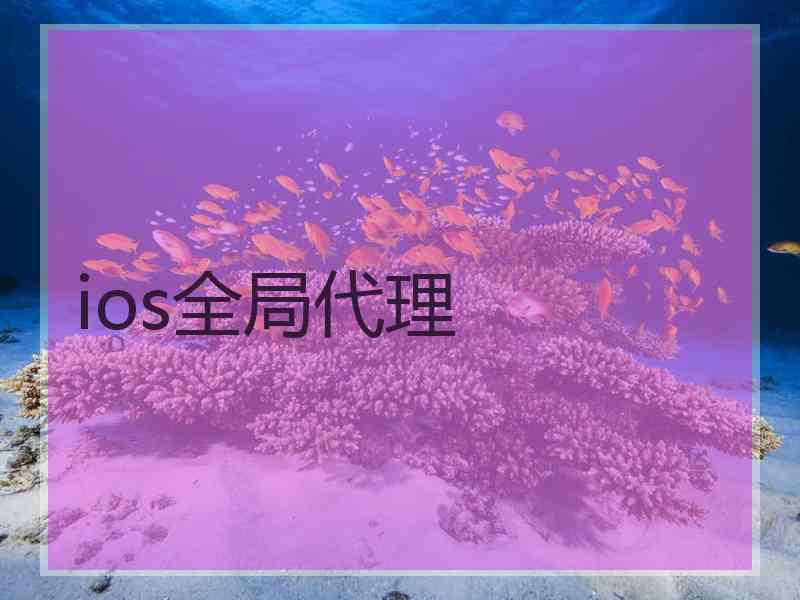 ios全局代理