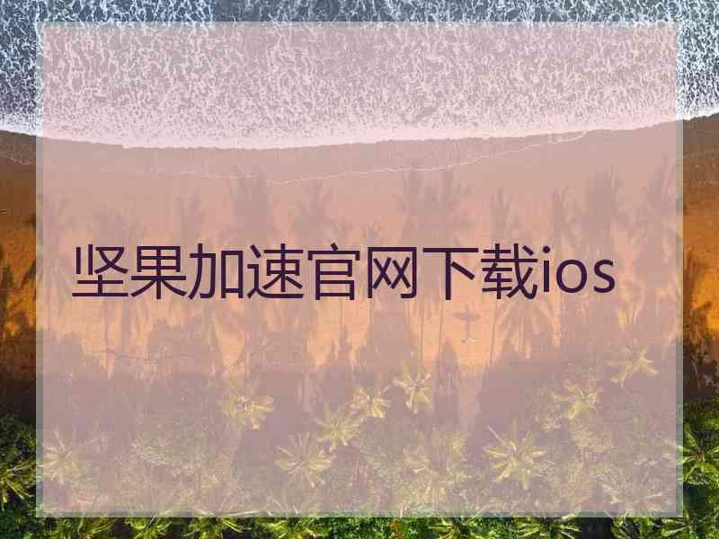 坚果加速官网下载ios