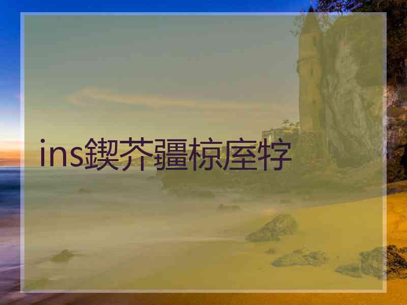 ins鍥芥疆椋庢牸