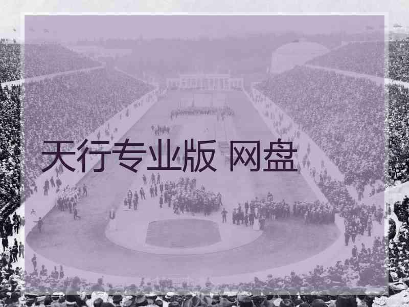 天行专业版 网盘