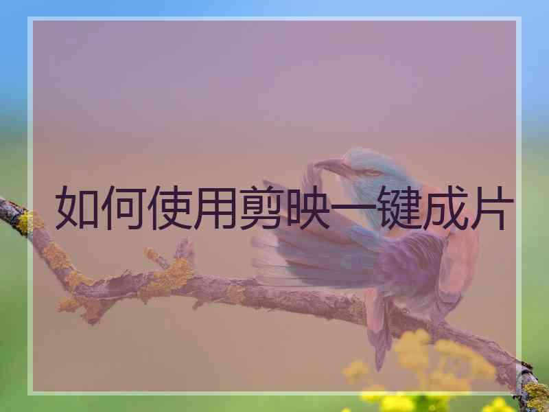 如何使用剪映一键成片