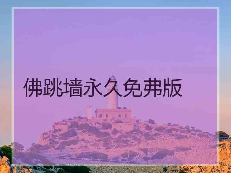 佛跳墙永久免弗版