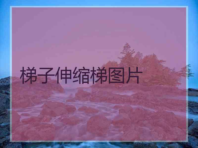 梯子伸缩梯图片