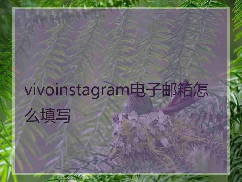 vivoinstagram电子邮箱怎么填写