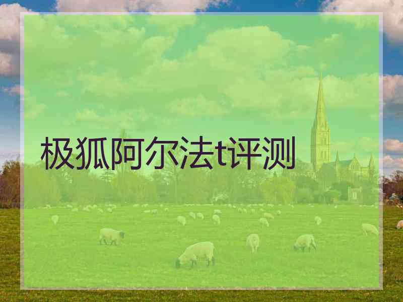 极狐阿尔法t评测