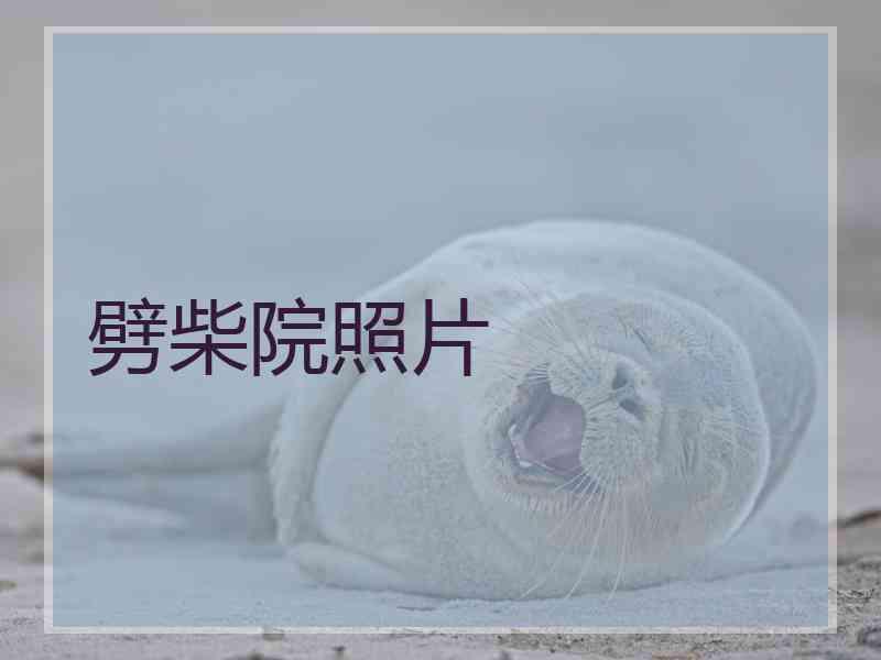 劈柴院照片