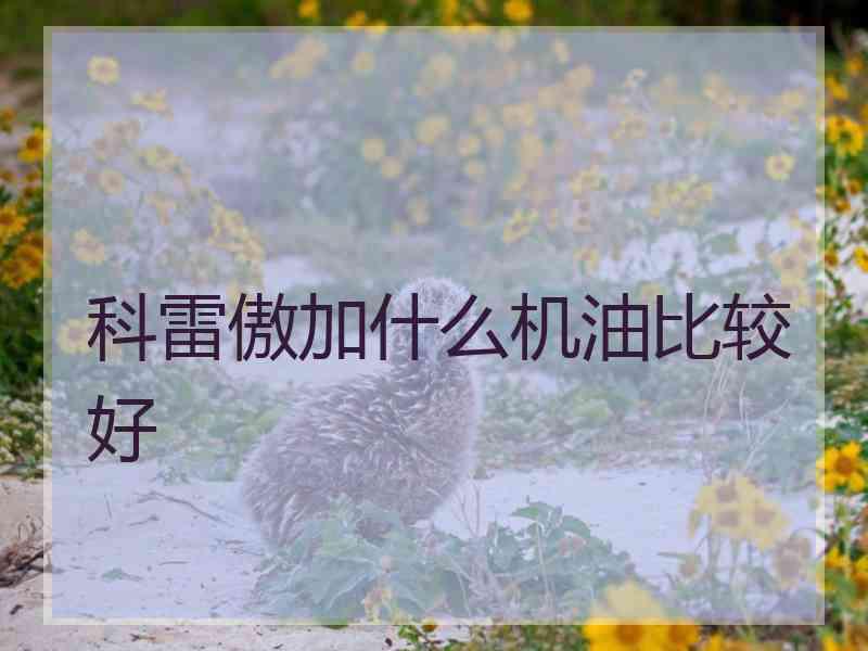 科雷傲加什么机油比较好