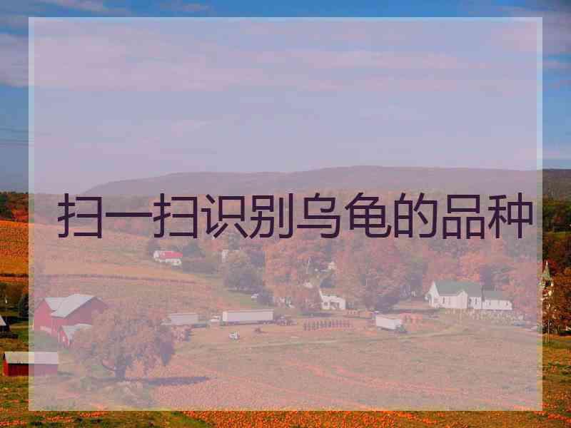 扫一扫识别乌龟的品种