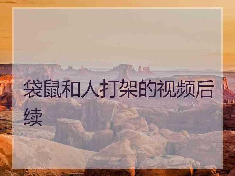 袋鼠和人打架的视频后续