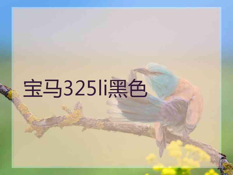 宝马325li黑色