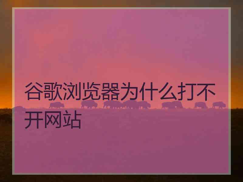 谷歌浏览器为什么打不开网站