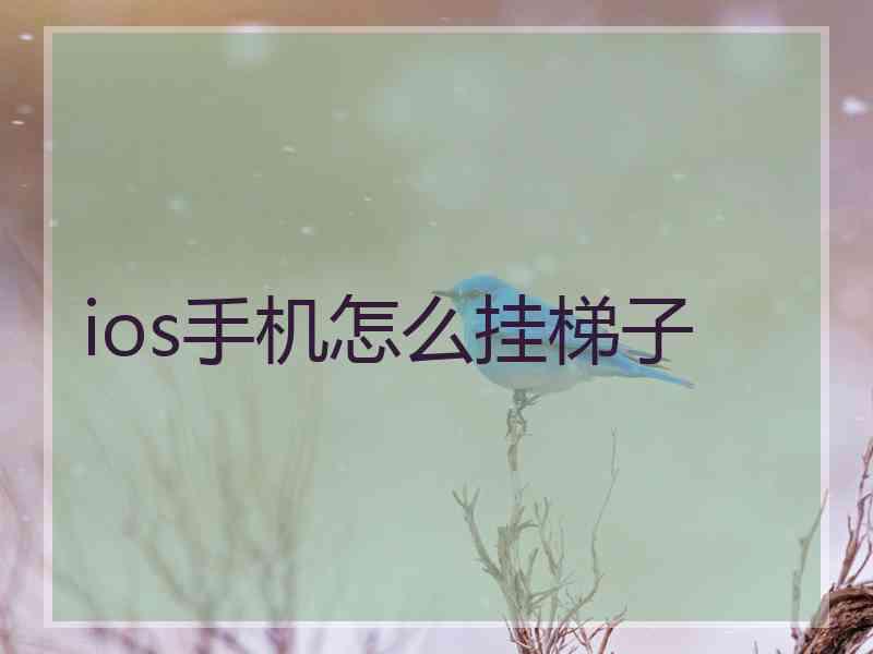 ios手机怎么挂梯子