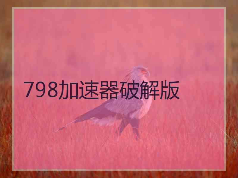 798加速器破解版