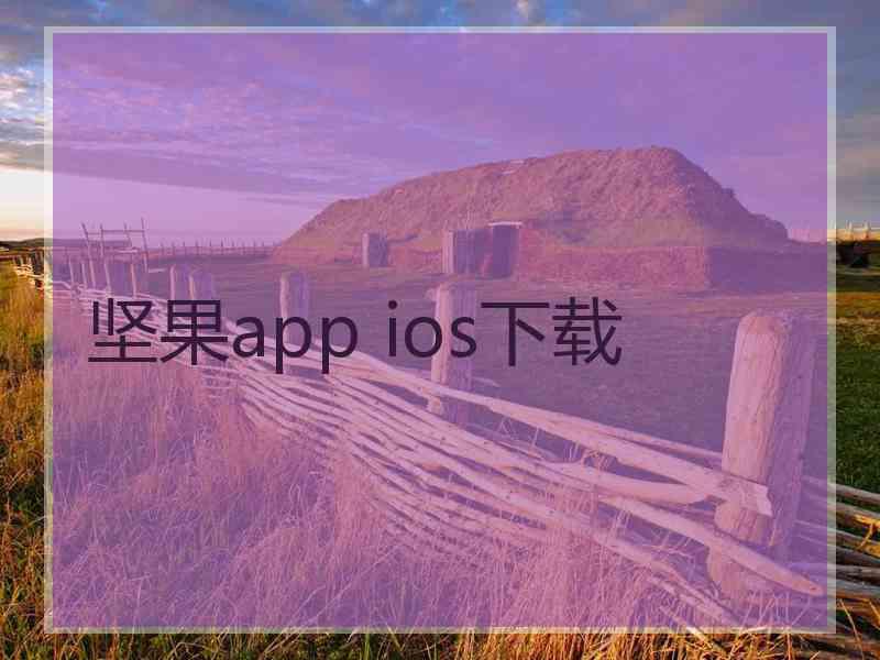 坚果app ios下载