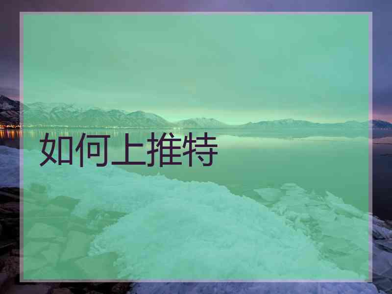 如何上推特