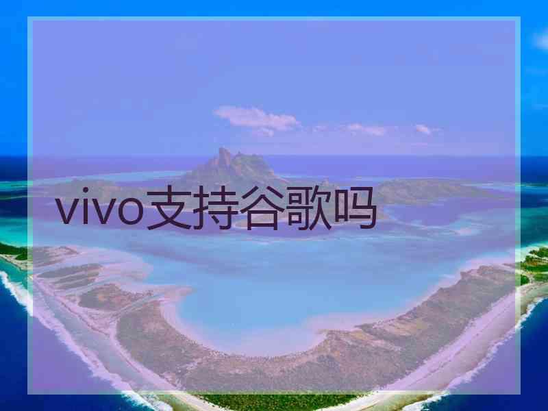 vivo支持谷歌吗