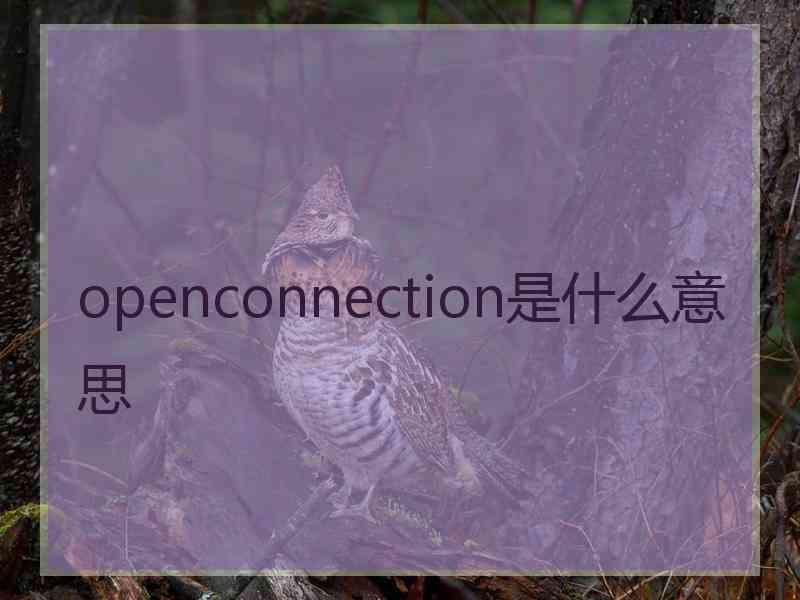 openconnection是什么意思