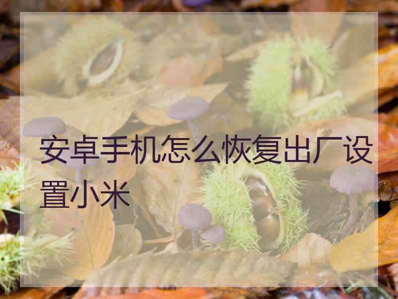 安卓手机怎么恢复出厂设置小米