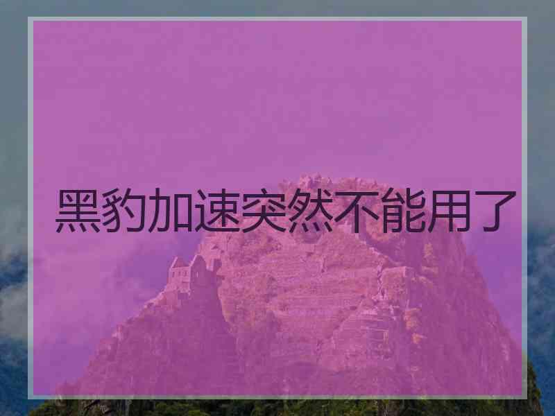 黑豹加速突然不能用了