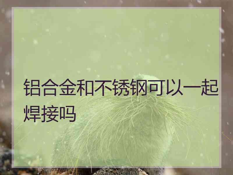 铝合金和不锈钢可以一起焊接吗