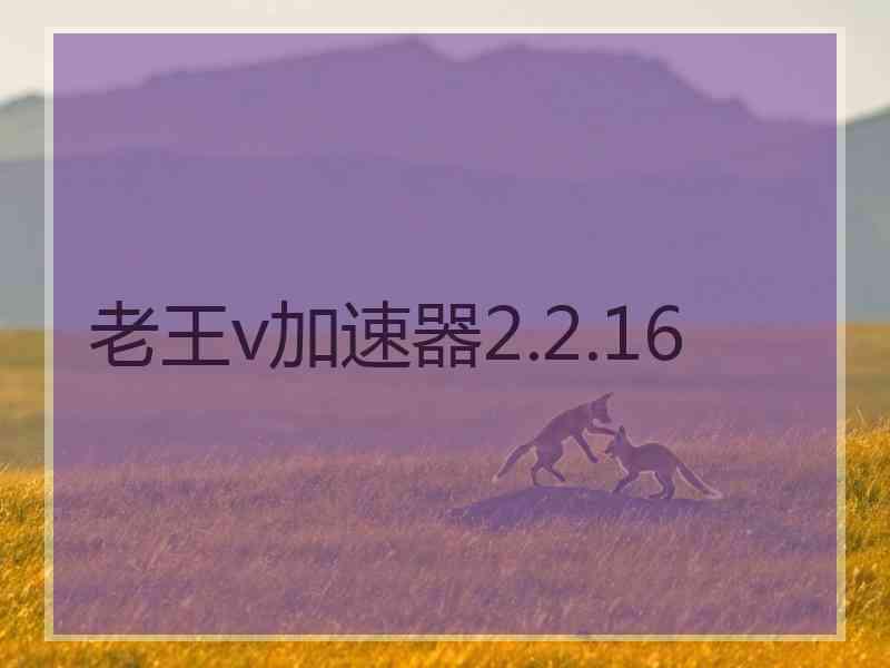 老王v加速器2.2.16