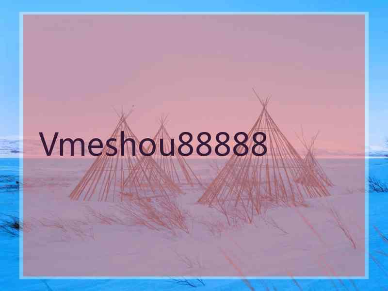 Vmeshou88888