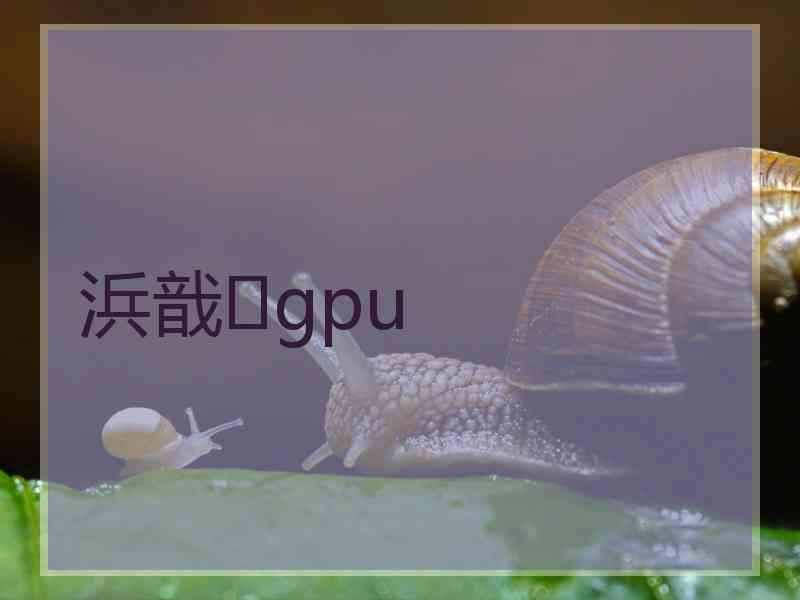 浜戠gpu
