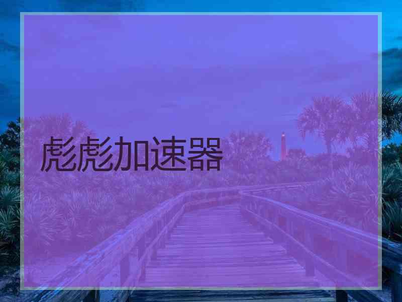 彪彪加速器