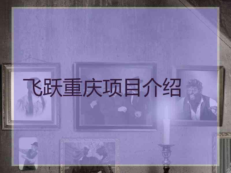 飞跃重庆项目介绍
