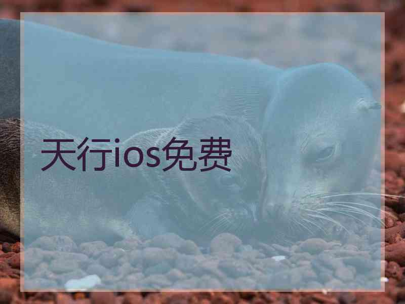 天行ios免费