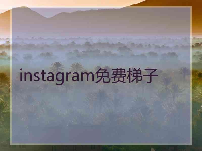 instagram免费梯子